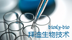 公司介绍